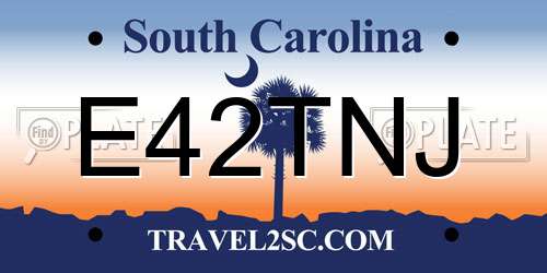 E42TNJ South Carolina License Plate