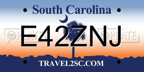 E42ZNJ South Carolina License Plate