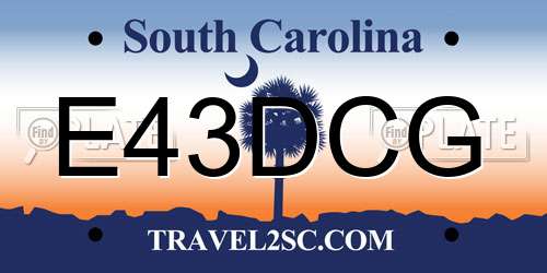 E43DCG South Carolina License Plate