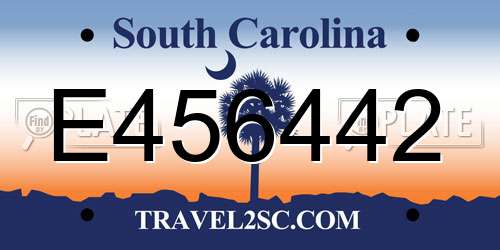 E456442 South Carolina License Plate