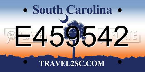 E459542 South Carolina License Plate