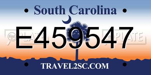 E459547 South Carolina License Plate