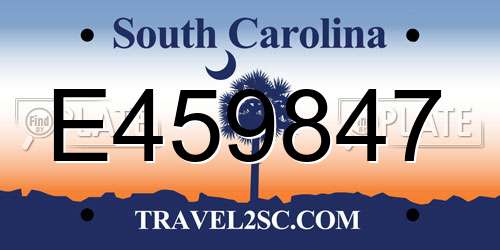 E459847 South Carolina License Plate