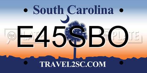E45SBO South Carolina License Plate