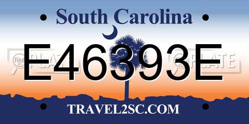 E46393E South Carolina License Plate