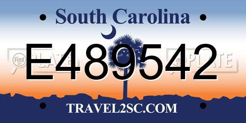E489542 South Carolina License Plate
