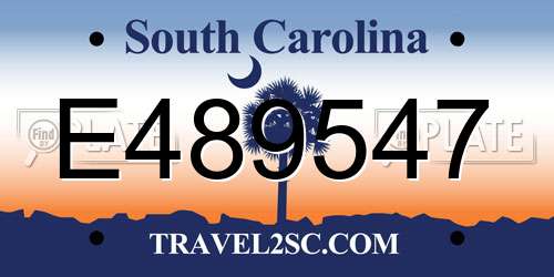 E489547 South Carolina License Plate
