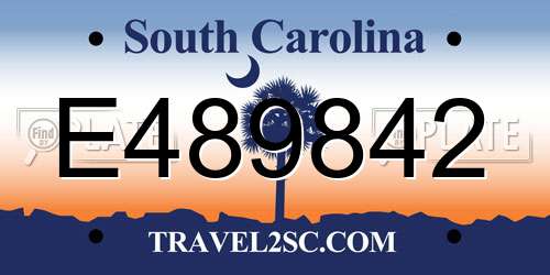 E489842 South Carolina License Plate