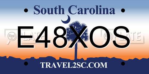 E48XOS South Carolina License Plate