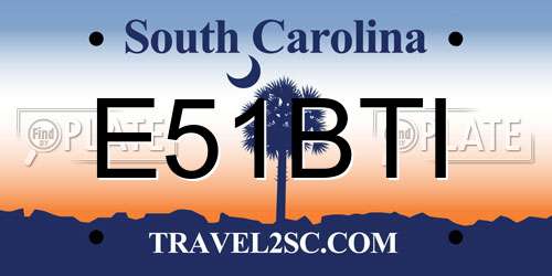 E51BTI South Carolina License Plate