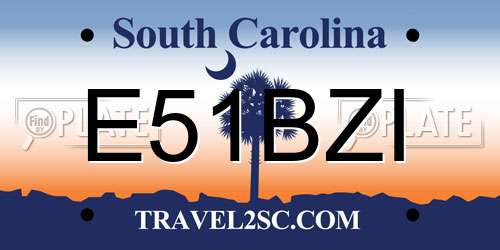E51BZI South Carolina License Plate