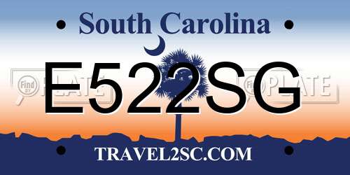 E522SG South Carolina License Plate