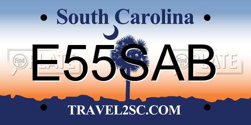E55SAB South Carolina License Plate