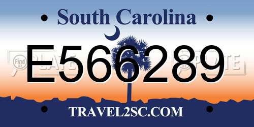 E566289 South Carolina License Plate