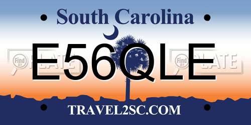 E56QLE South Carolina License Plate