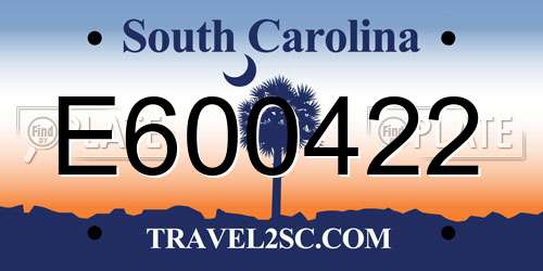 E600422 South Carolina License Plate