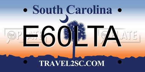 E60LTA South Carolina License Plate