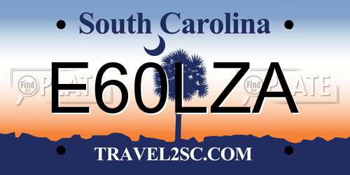 E60LZA South Carolina License Plate