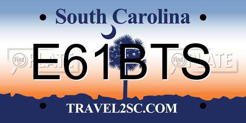 E61BTS South Carolina License Plate