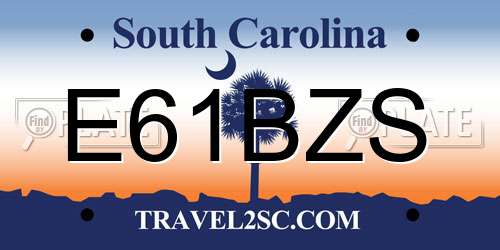 E61BZS South Carolina License Plate