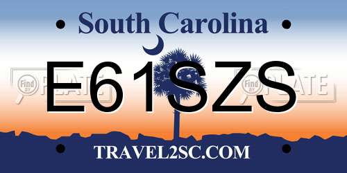 E61SZS South Carolina License Plate