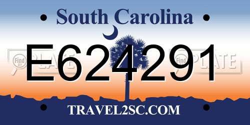 E624291 South Carolina License Plate