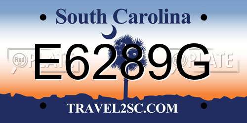 E6289G South Carolina License Plate