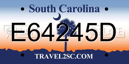 E64245D South Carolina License Plate