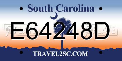 E64248D South Carolina License Plate