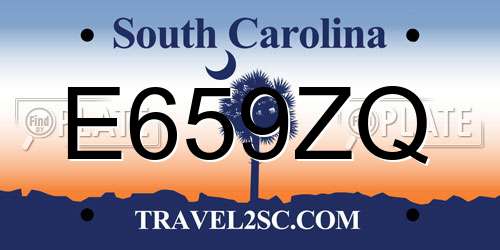 E659ZQ South Carolina License Plate