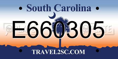 E660305 South Carolina License Plate