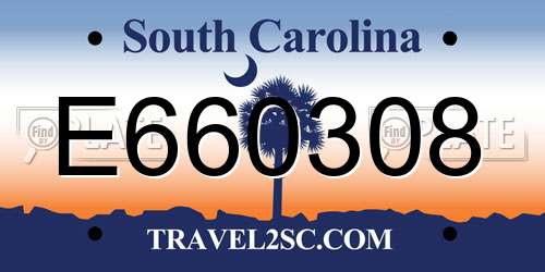E660308 South Carolina License Plate