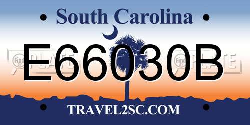 E66030B South Carolina License Plate