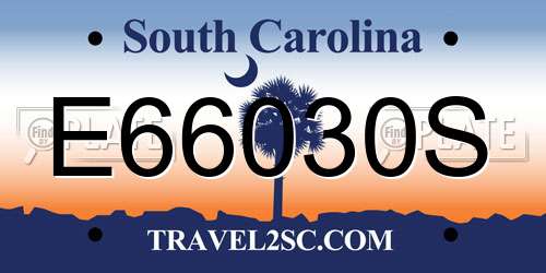 E66030S South Carolina License Plate