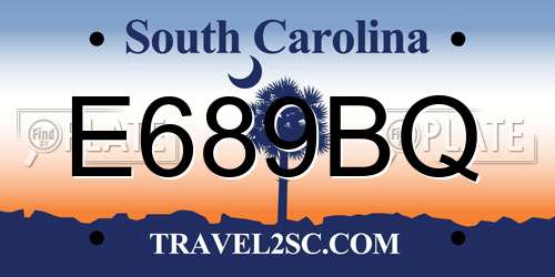 E689BQ South Carolina License Plate