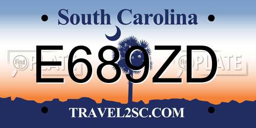 E689ZD South Carolina License Plate