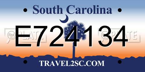E724134 South Carolina License Plate