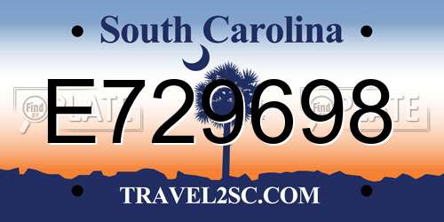 E729698 South Carolina License Plate