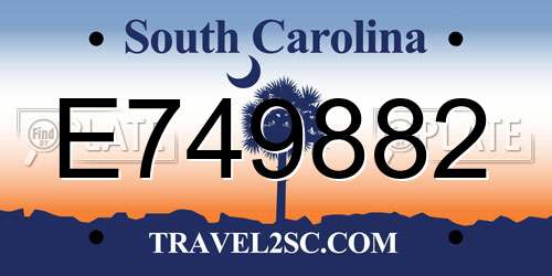 E749882 South Carolina License Plate