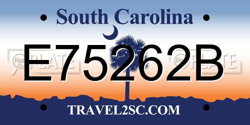 E75262B South Carolina License Plate