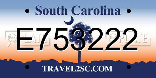 E753222 South Carolina License Plate
