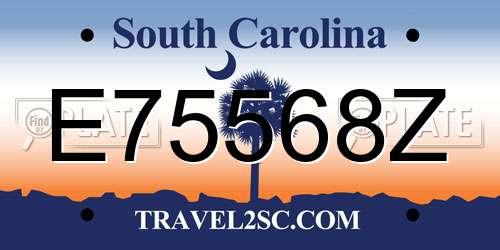 E75568Z South Carolina License Plate