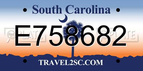 E758682 South Carolina License Plate