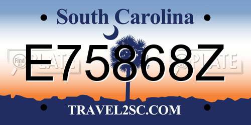 E75868Z South Carolina License Plate