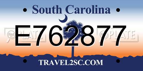 E762877 South Carolina License Plate