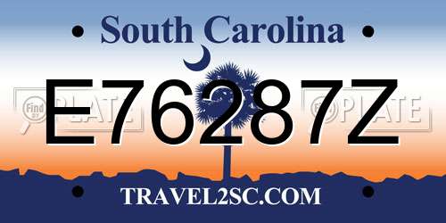 E76287Z South Carolina License Plate