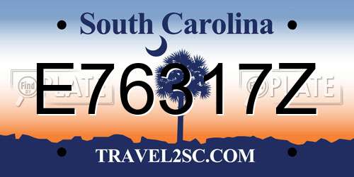 E76317Z South Carolina License Plate