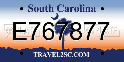 E767877 South Carolina License Plate