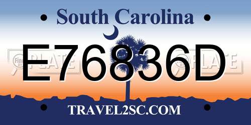 E76836D South Carolina License Plate