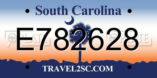 E782628 South Carolina License Plate